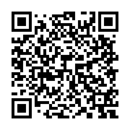 QR code for 38X510