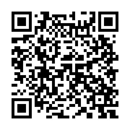QR code for plate 38X 707