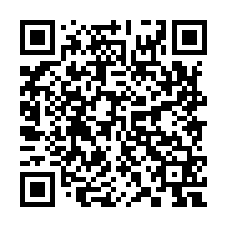 QR code for 38X960