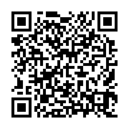 QR code for 38Y341