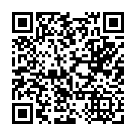 QR code for plate 38Y 473