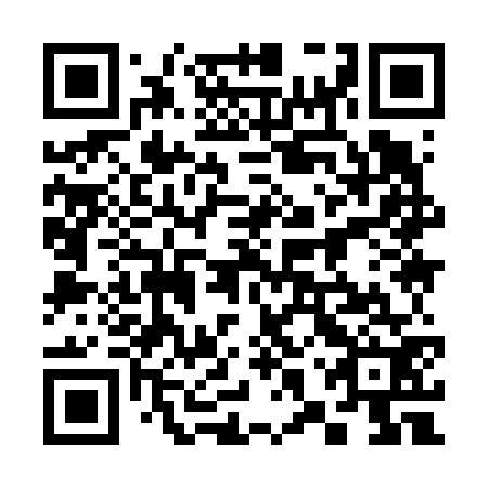 QR code for plate 38Y 672