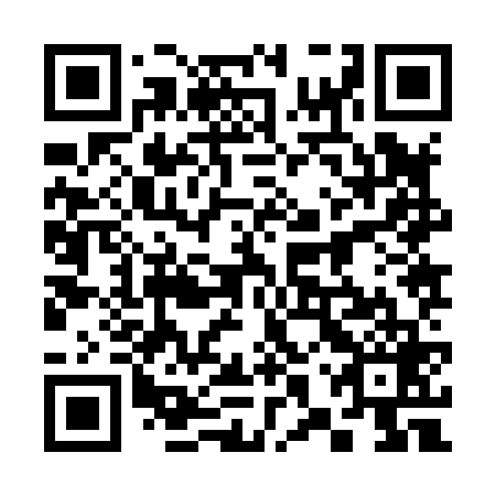 QR code for 38Z 869
