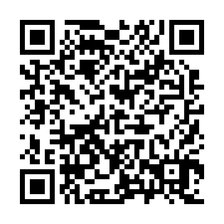 QR code for plate 38Z 204