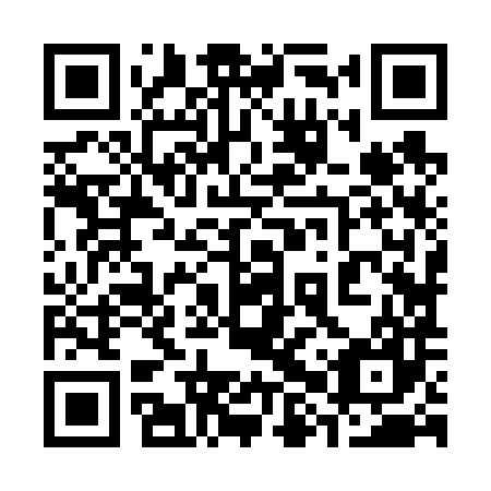 QR code for plate 38Z 687
