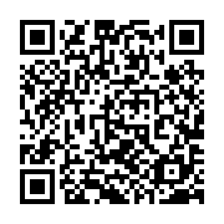 QR code for plate 39L 295