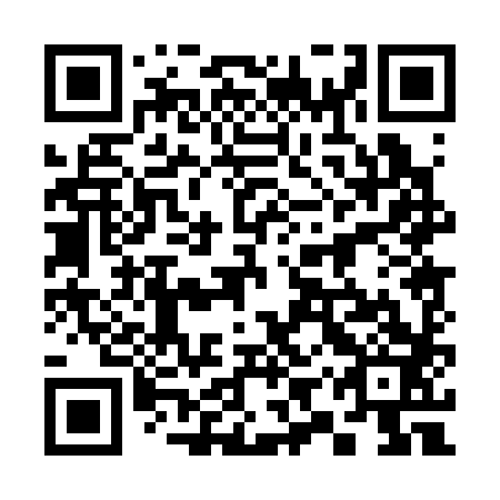 QR code for plate 39P 383