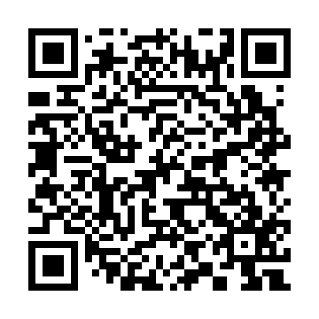 QR code for plate 39Q 317