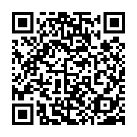 QR code for 39S538