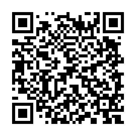 QR code for 39T 494