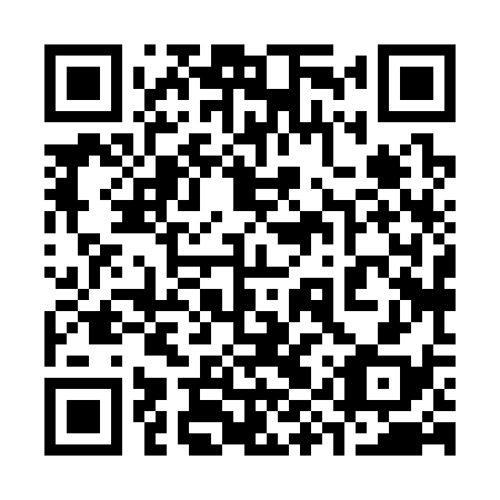 QR code for 39X 338