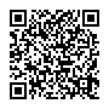 QR code for plate 39Y 338