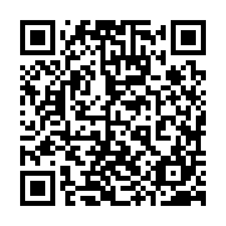 QR code for plate 39Z 304