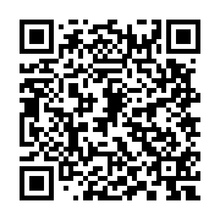 QR code for 39Z511