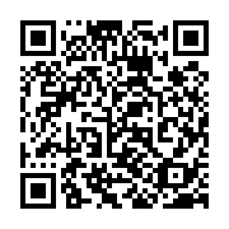 QR code for plate 3AE 538