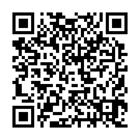 QR code for plate 3B 1303