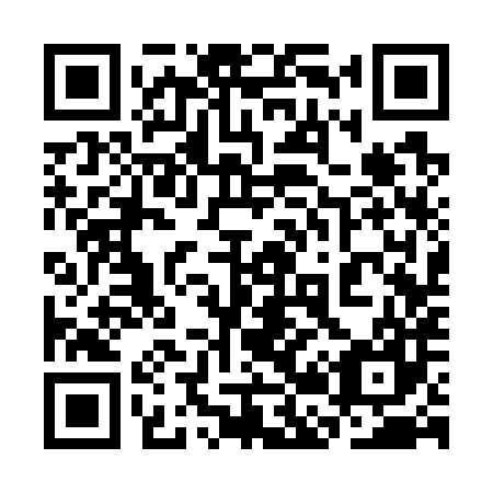 QR code for plate 3B 3787