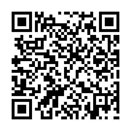 QR code for plate 3B 4366