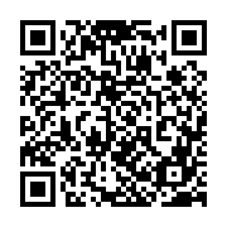 QR code for plate 3B 6166
