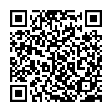 QR code for plate 3B 9200