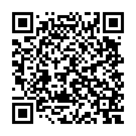 QR code for plate 3BG 440