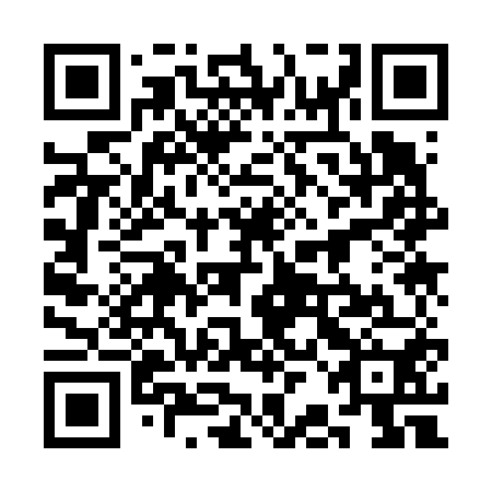 QR code for plate 3BK 650
