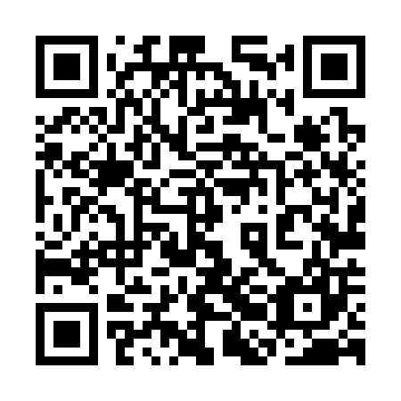 QR code for plate 3BL 307