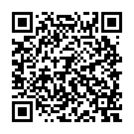 QR code for 3BM384