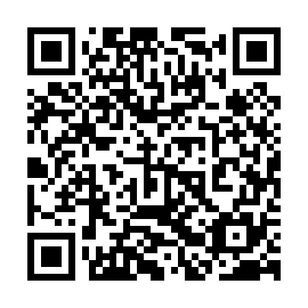 QR code for plate 3BU 075
