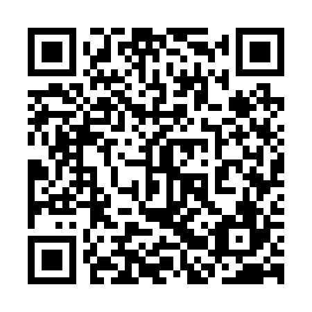 QR code for plate 3BW 226
