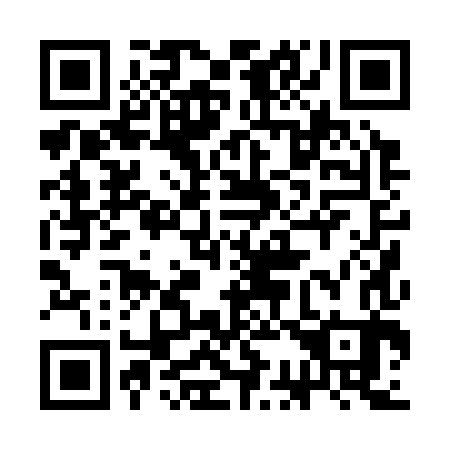 QR code for 3C 0383