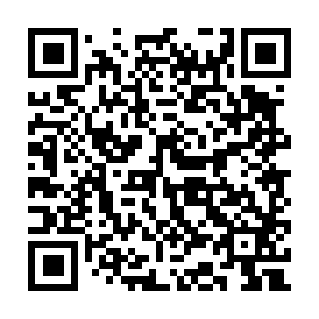 QR code for plate 3C 0482