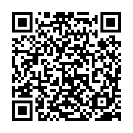 QR code for plate 3CZ 295