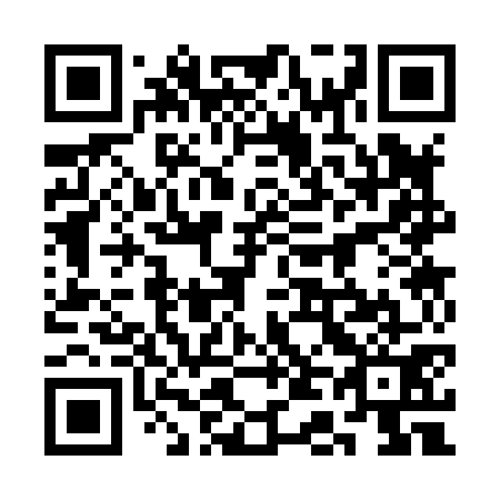 QR code for 3D 3871