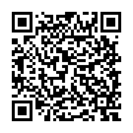 QR code for 3D 4196