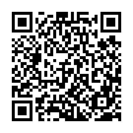 QR code for 3D4666
