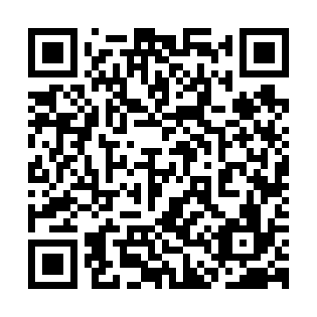 QR code for 3D6636