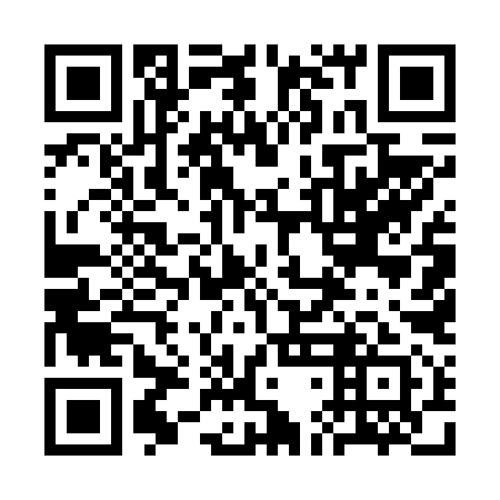 QR code for plate 3DE 691