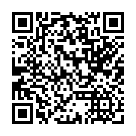 QR code for 3DI 317