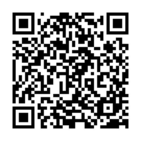 QR code for plate 3DK 387