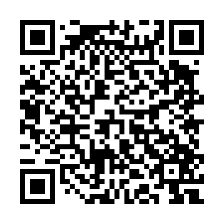 QR code for plate 3DM 447