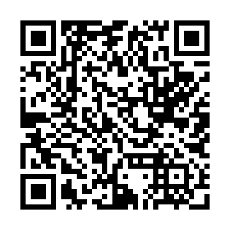 QR code for plate 3DM 491