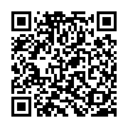 QR code for 3DQ 729
