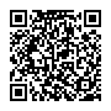 QR code for 3DS 510