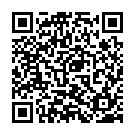 QR code for plate 3DW 334