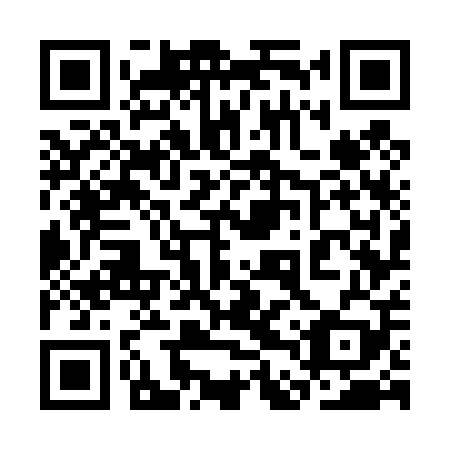 QR code for plate 3DW 409
