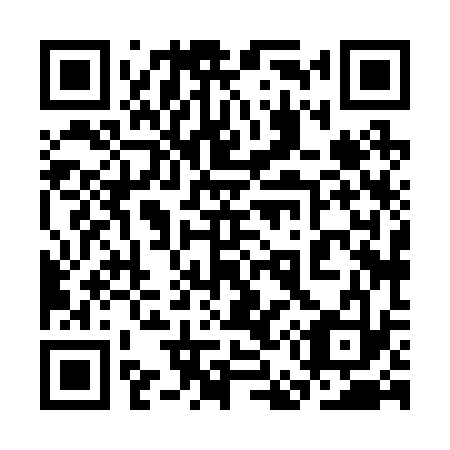 QR code for plate 3E 8233