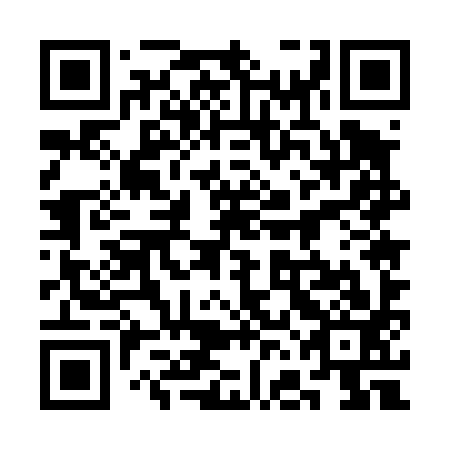 QR code for 3FE 493