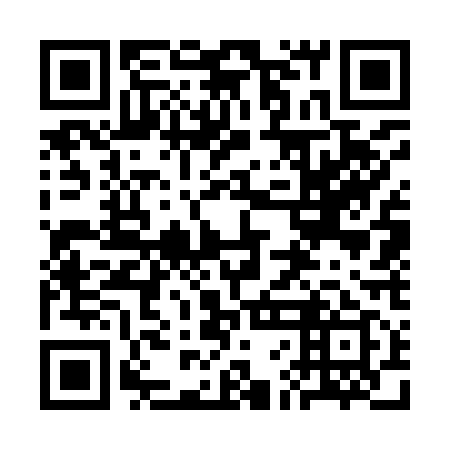QR code for 3FG 919