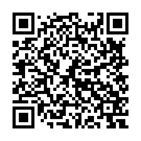 QR code for plate 3FG 863